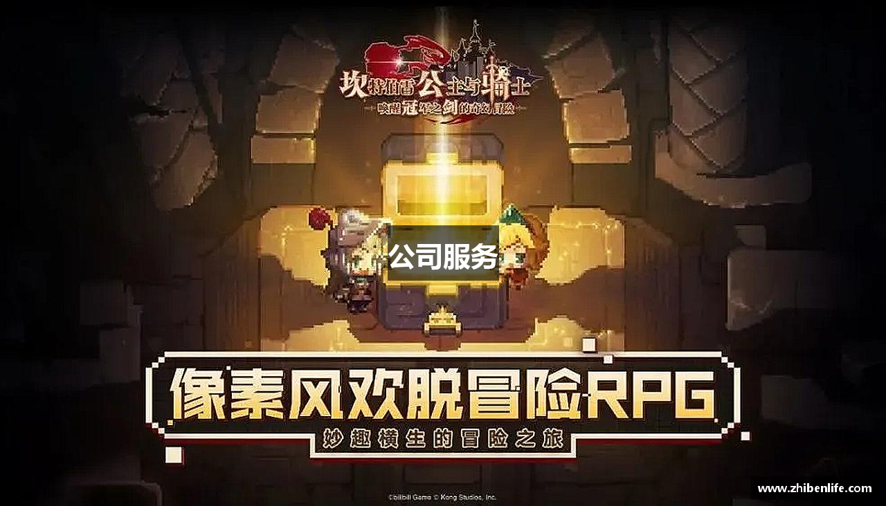 公司服务